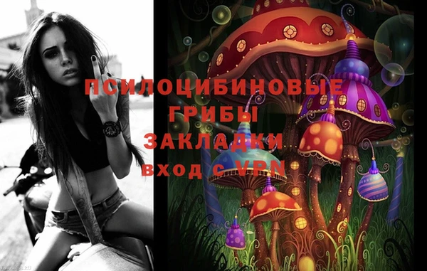 экстази Ельня