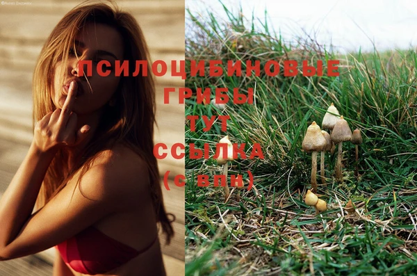 мяу мяу кристалл Елизово