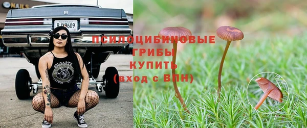 мяу мяу кристалл Елизово