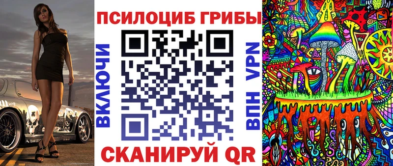 Псилоцибиновые грибы Psilocybe Зеленоградск